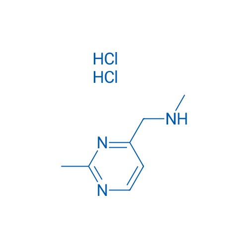 N-Methyl-1-(2-methylpyrimidin-4-yl)methanamine dihydrochloride 1g