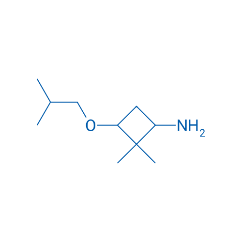 2,2-dimethyl-3-(2-methylpropoxy)cyclobutan-1-amine 50mg