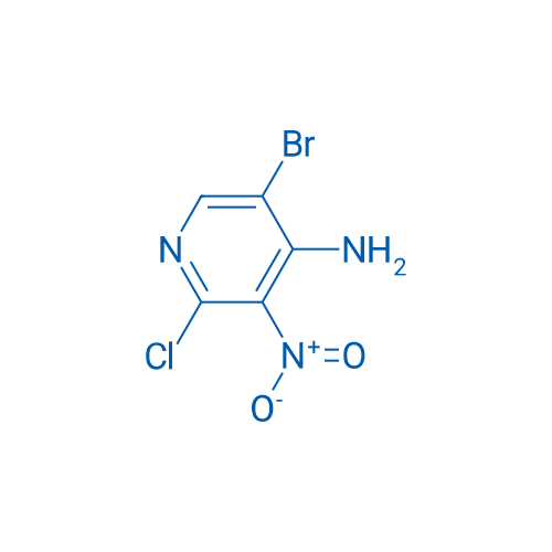 5-Bromo-2-chloro-3-nitropyridin-4-amine 1g