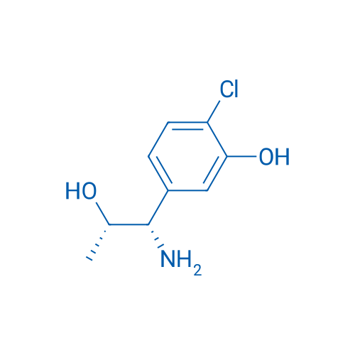 5-((1S,2S)-1-AMINO-2-HYDROXYPROPYL)-2-CHLOROPHENOL 250mg