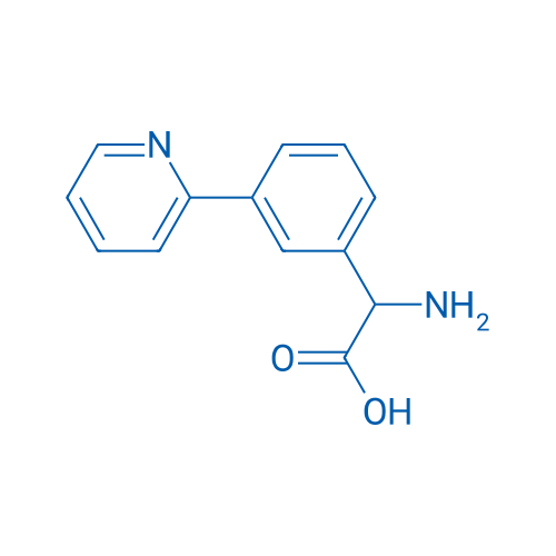 2-Amino-2-(3-(pyridin-2-yl)phenyl)acetic acid 1g