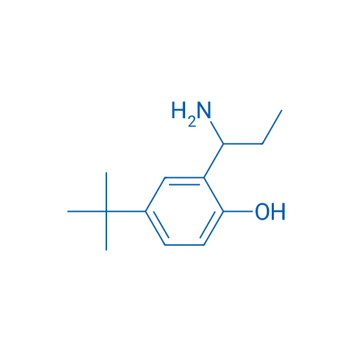 2-(1-Aminopropyl)-4-tert-butylphenol 1g