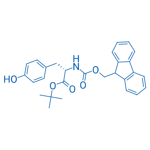 Fmoc-Tyr-OtBu 25g