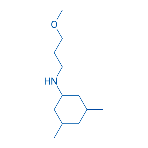 N-(3-Methoxypropyl)-3,5-dimethylcyclohexan-1-amine 1g