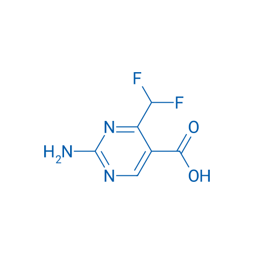 2-Amino-4-(difluoromethyl)pyrimidine-5-carboxylic acid 1g