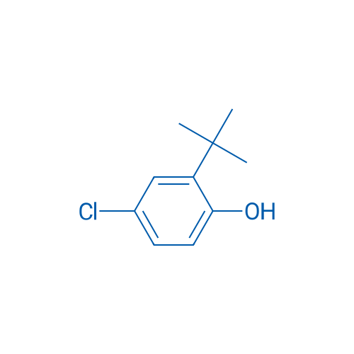 2-(tert-Butyl)-4-chlorophenol 250mg