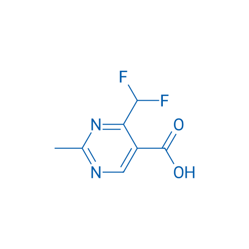 4-(Difluoromethyl)-2-methylpyrimidine-5-carboxylic acid 1g