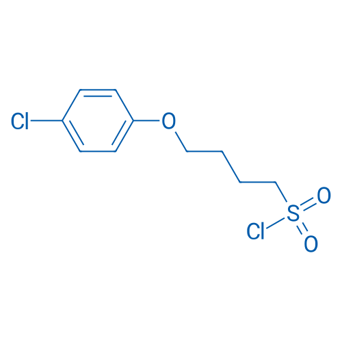 4-(4-Chlorophenoxy)butane-1-sulfonyl chloride 5g