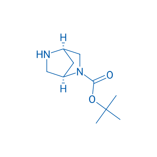 (1R,4R)-tert-Butyl 2,5-diazabicyclo[2.2.1]heptane-2-carboxylate 25g