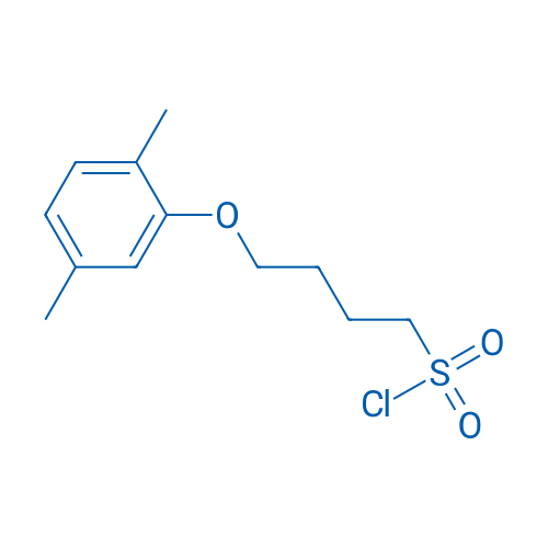 4-(2,5-Dimethylphenoxy)butane-1-sulfonyl chloride 1g