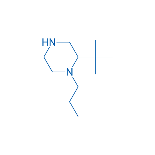 2-tert-Butyl-1-propylpiperazine 1g