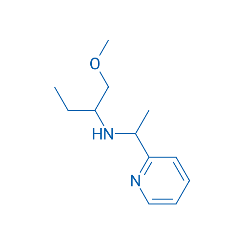 (1-Methoxybutan-2-yl)[1-(pyridin-2-yl)ethyl]amine 1g