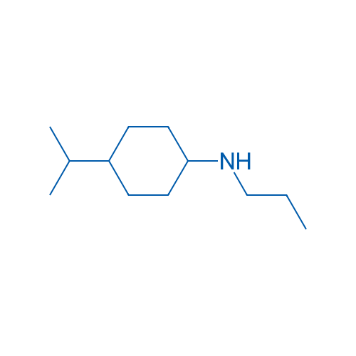 4-(Propan-2-yl)-N-propylcyclohexan-1-amine 250mg
