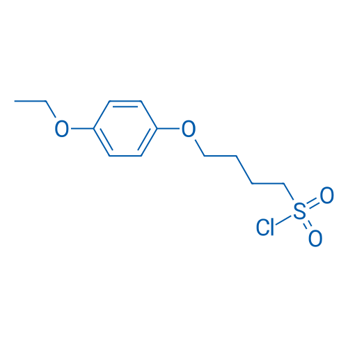 4-(4-Ethoxyphenoxy)butane-1-sulfonyl chloride 5g