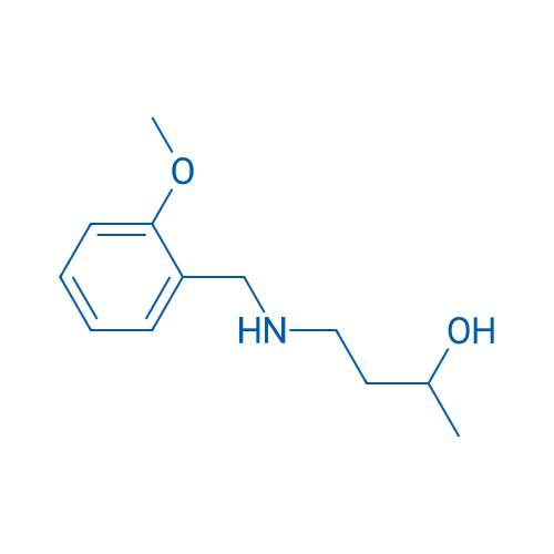 4-{[(2-methoxyphenyl)methyl]amino}butan-2-ol 1g