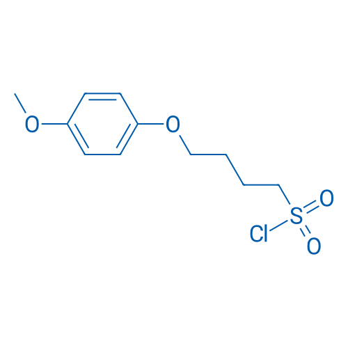 4-(4-Methoxyphenoxy)butane-1-sulfonyl chloride 5g