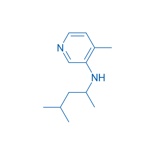4-Methyl-N-(4-methylpentan-2-yl)pyridin-3-amine 250mg