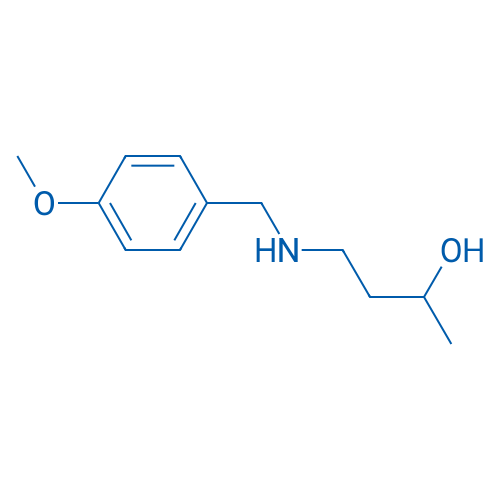 4-{[(4-methoxyphenyl)methyl]amino}butan-2-ol 1g