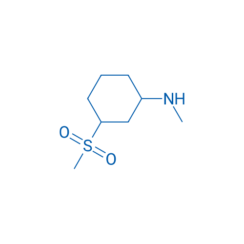 3-Methanesulfonyl-n-methylcyclohexan-1-amine 1g