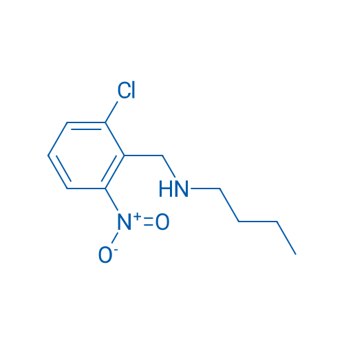 BUtyl[(2-chloro-6-nitrophenyl)methyl]amine 1g