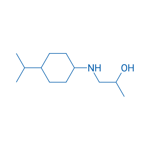 1-{[4-(propan-2-yl)cyclohexyl]amino}propan-2-ol 10g