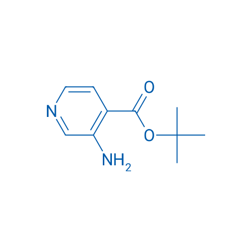 tert-Butyl 3-aminoisonicotinate 100mg