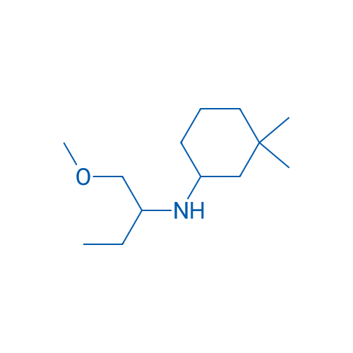 N-(1-Methoxybutan-2-yl)-3,3-dimethylcyclohexan-1-amine 1g
