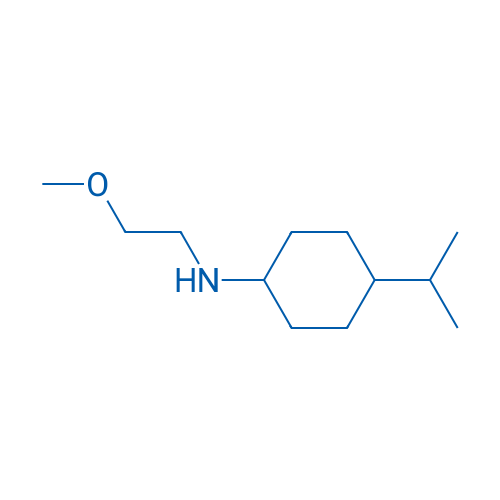 N-(2-Methoxyethyl)-4-(propan-2-yl)cyclohexan-1-amine 250mg