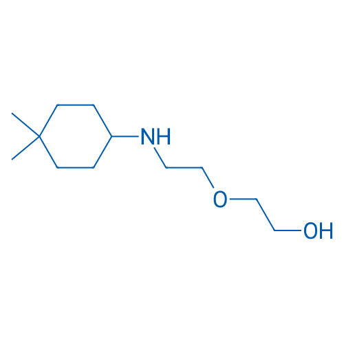 2-{2-[(4,4-dimethylcyclohexyl)amino]ethoxy}ethan-1-ol 1g