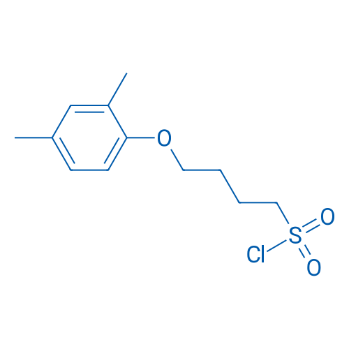 4-(2,4-Dimethylphenoxy)butane-1-sulfonyl chloride 1g
