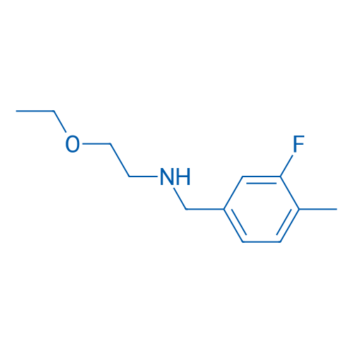 (2-Ethoxyethyl)[(3-fluoro-4-methylphenyl)methyl]amine 1g