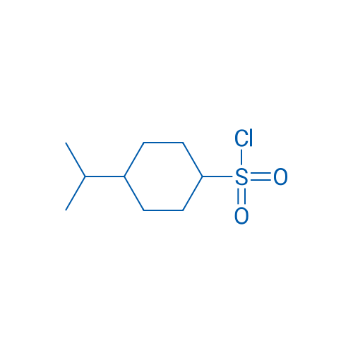 4-(Propan-2-yl)cyclohexane-1-sulfonyl chloride 1g
