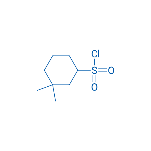 3,3-Dimethylcyclohexane-1-sulfonyl chloride 1g