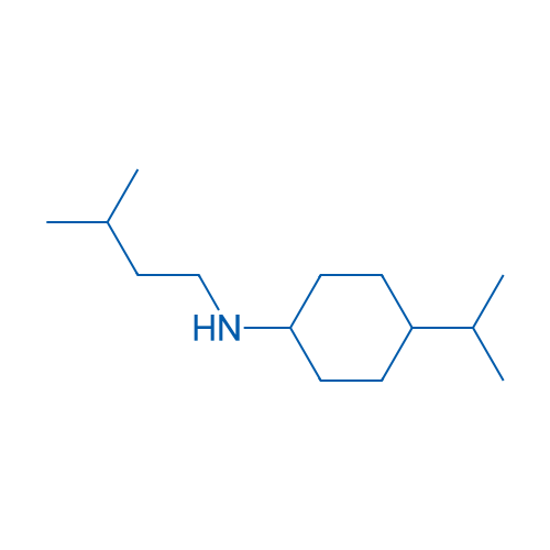 N-(3-Methylbutyl)-4-(propan-2-yl)cyclohexan-1-amine 10g