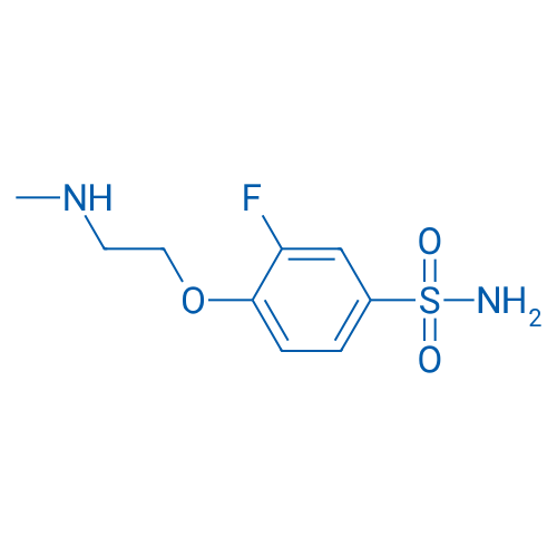 3-Fluoro-4-[2-(methylamino)ethoxy]benzene-1-sulfonamide 1g