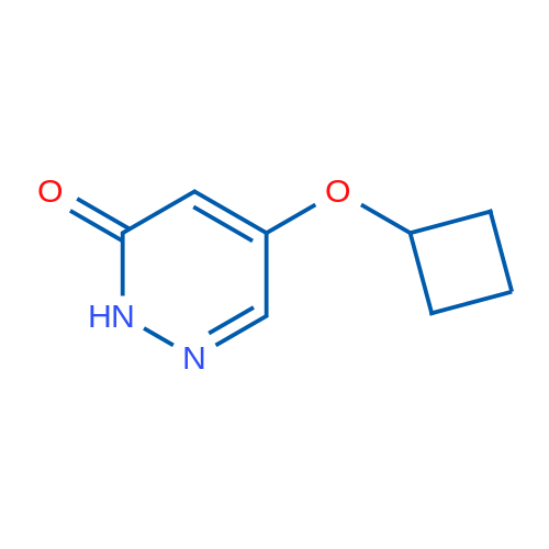 5-Cyclobutoxypyridazin-3(2H)-one 1g
