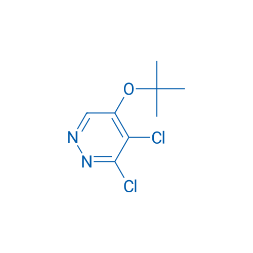 5-(tert-Butoxy)-3,4-dichloropyridazine 1g
