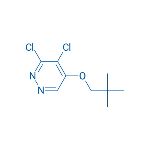 3,4-Dichloro-5-(neopentyloxy)pyridazine 1g