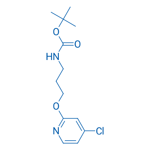 tert-Butyl (3-((4-chloropyridin-2-yl)oxy)propyl)carbamate 1g