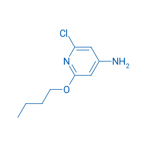 2-Butoxy-6-chloropyridin-4-amine 1g