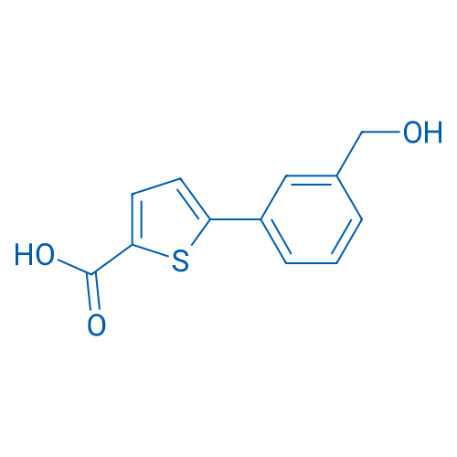 5-(3-(Hydroxymethyl)phenyl)thiophene-2-carboxylic acid 1g