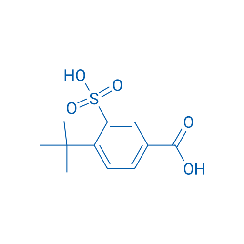 4-(tert-Butyl)-3-sulfobenzoic acid 1g