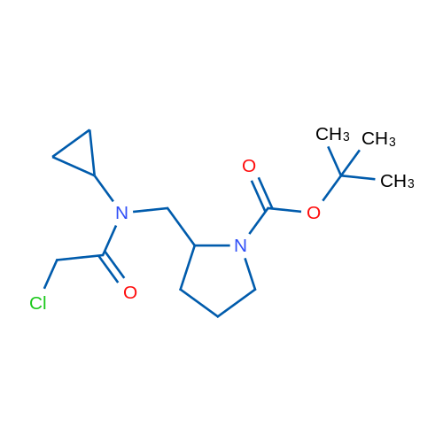 tert-Butyl 2-((2-chloro-N-cyclopropylacetamido)methyl)pyrrolidine-1-carboxylate 1g
