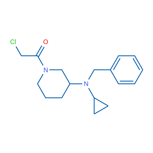 1-(3-(Benzyl(cyclopropyl)amino)piperidin-1-yl)-2-chloroethanone 1g