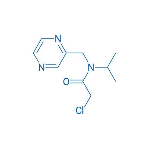 2-Chloro-N-isopropyl-N-(pyrazin-2-ylmethyl)acetamide 1g