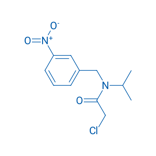 2-Chloro-N-isopropyl-N-(3-nitrobenzyl)acetamide 1g