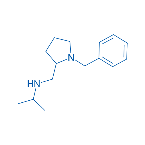 N-((1-Benzylpyrrolidin-2-yl)methyl)propan-2-amine 1g