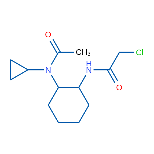 2-Chloro-N-(2-(N-cyclopropylacetamido)cyclohexyl)acetamide 1g