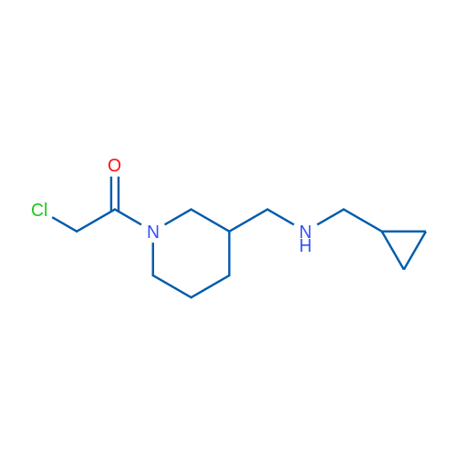 2-Chloro-1-(3-(((cyclopropylmethyl)amino)methyl)piperidin-1-yl)ethanone 1g