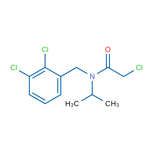 2-Chloro-N-(2,3-dichlorobenzyl)-N-isopropylacetamide 1g